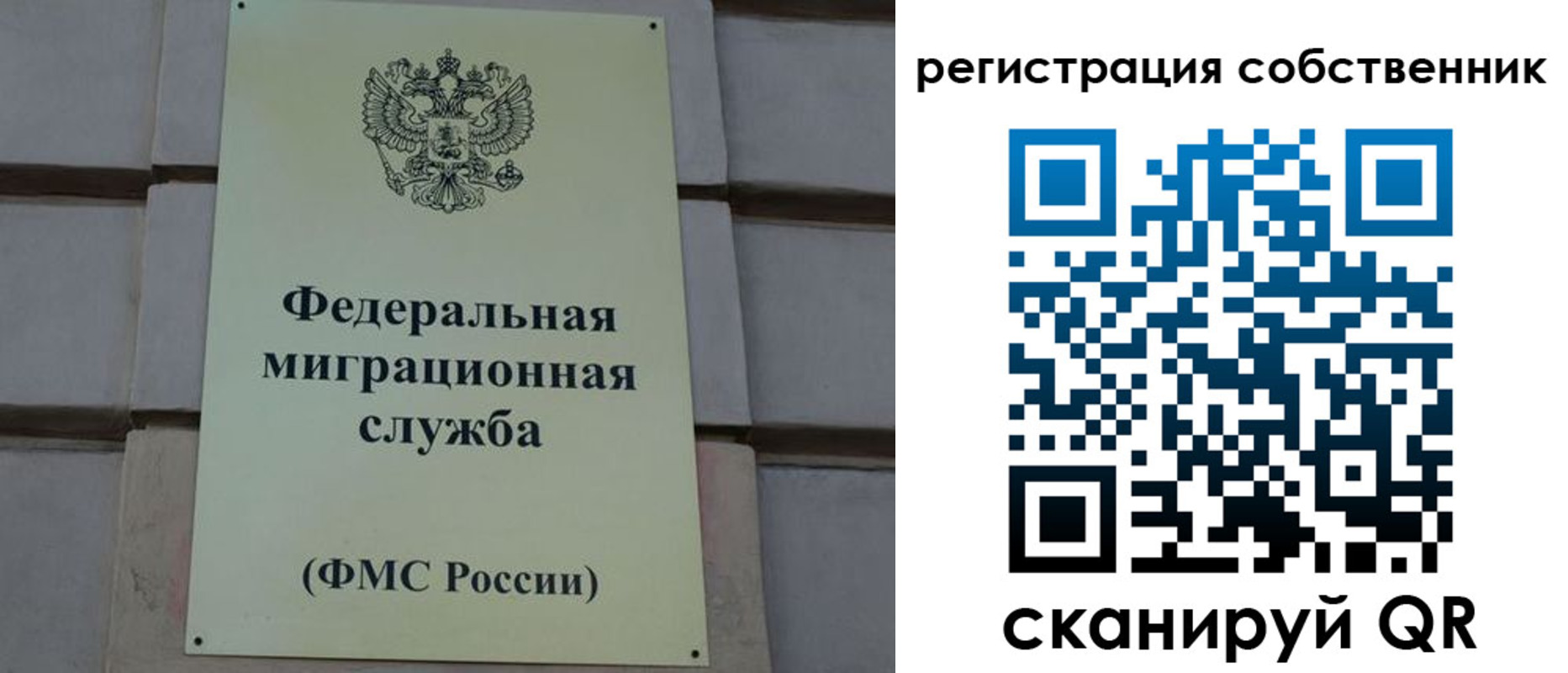 прописка гарантия в Мытищах